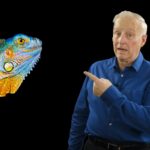 Confront the Lizard: How to Make Better Decisions to Have Better Results is the Topic of my January 2021 Podcast with Steve Haffner
