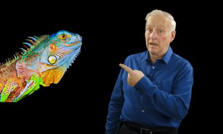 Confront the Lizard: How to Make Better Decisions to Have Better Results is the Topic of my January 2021 Podcast with Steve Haffner