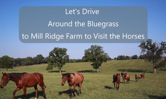 Let’s Drive Around the Bluegrass to Mill Ridge Farm and Visit the Horses